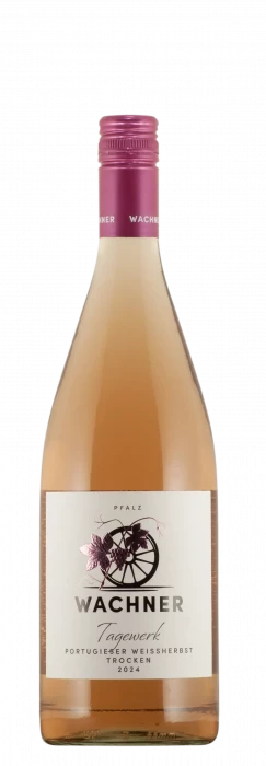 2024 Portugieser Weißherbst / Weingut Wachner / Offenbach an der Queich | &copy; Weingut Wachner