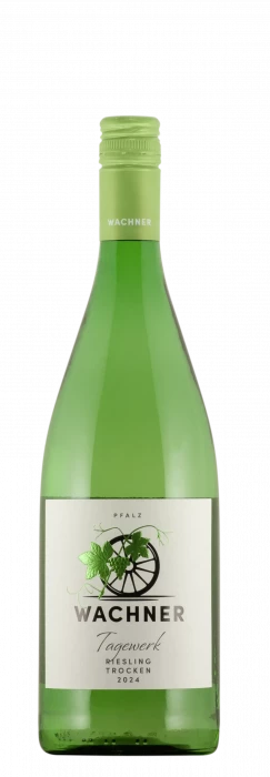 2025 Riesling / Weingut Wachner / Offenbach an der Queich | &copy; Weingut Wachner