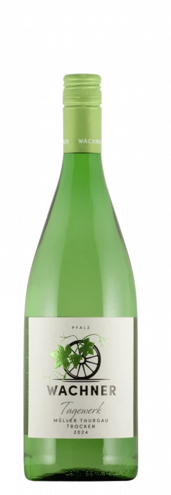 2024 Müller Thurgau / Weingut Wachner / Offenbach an der Queich | &copy; Weingut Wachner