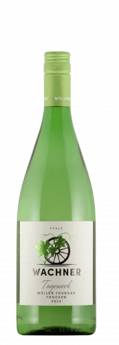 2024 Müller Thurgau / Weingut Wachner / Offenbach an der Queich | &copy; Weingut Wachner